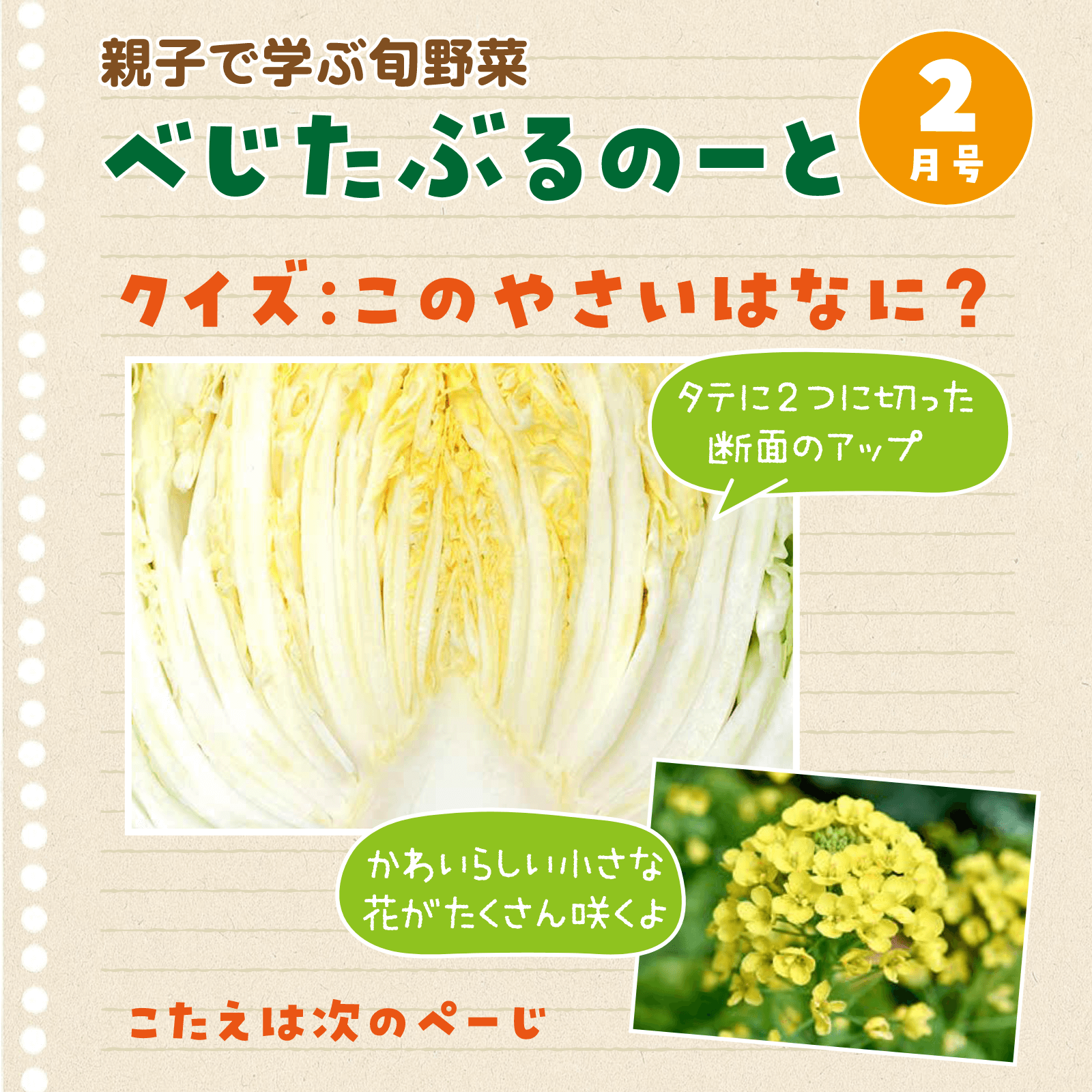 べじたぶるのーと2月号